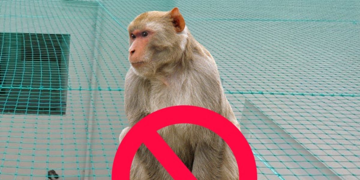 Monkey safety nets
