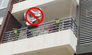 Pigeon Safety Nets for Balconies
